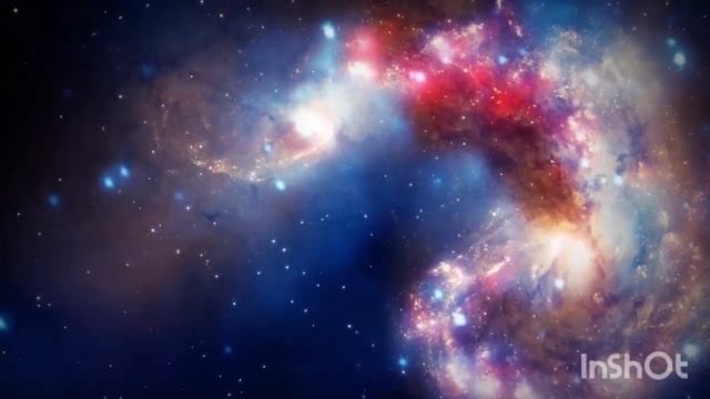 Гороскоп на Ноябрь 2021 год РАК Женщина┃#гороскоп #ноябрь #2021 #рак #женщина #любовь #счастье смотреть онлайн