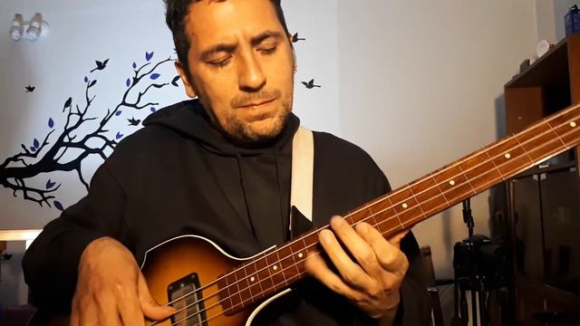 Leo Villagra #jacopastorius #continuum #jazz #bass #fretlessbass смотреть онлайн