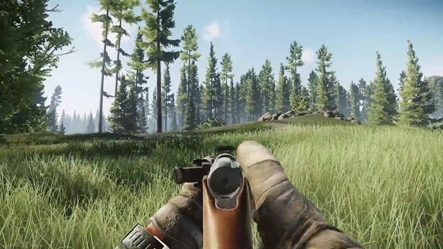 MOSIN NAGANT - ALL VARIANTS & ANIMATIONS (Escape From Tarkov 0.10) смотреть онлайн