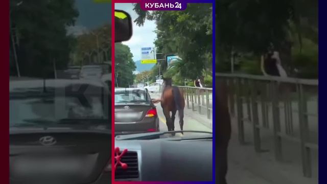 На машине в будни, а на коне — по праздникам смотреть онлайн