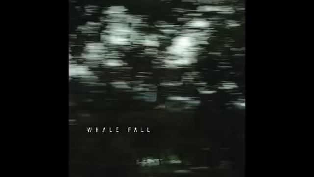 Whale Fall - Click смотреть онлайн