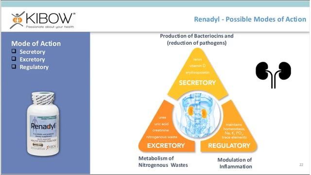 Enteric Dialysis® – No Longer Fiction, but a Reality! смотреть онлайн