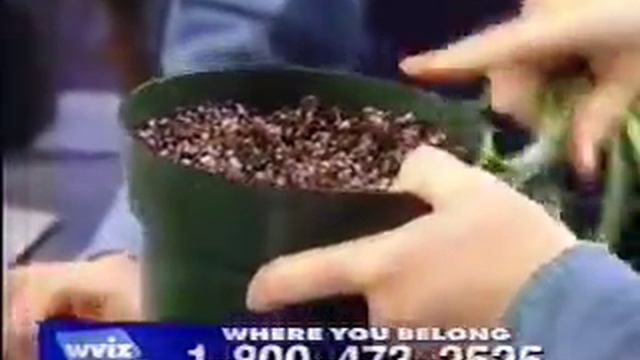 The Gardener's Guide for Northeast Ohio (3/11/2001) Part 3 смотреть онлайн
