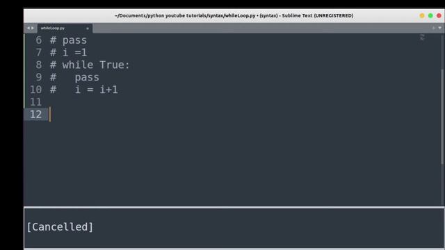 Python While Loop Full Concept - Hindi/English | Python Tutorial For Beginners | CodeWithRonny смотреть онлайн