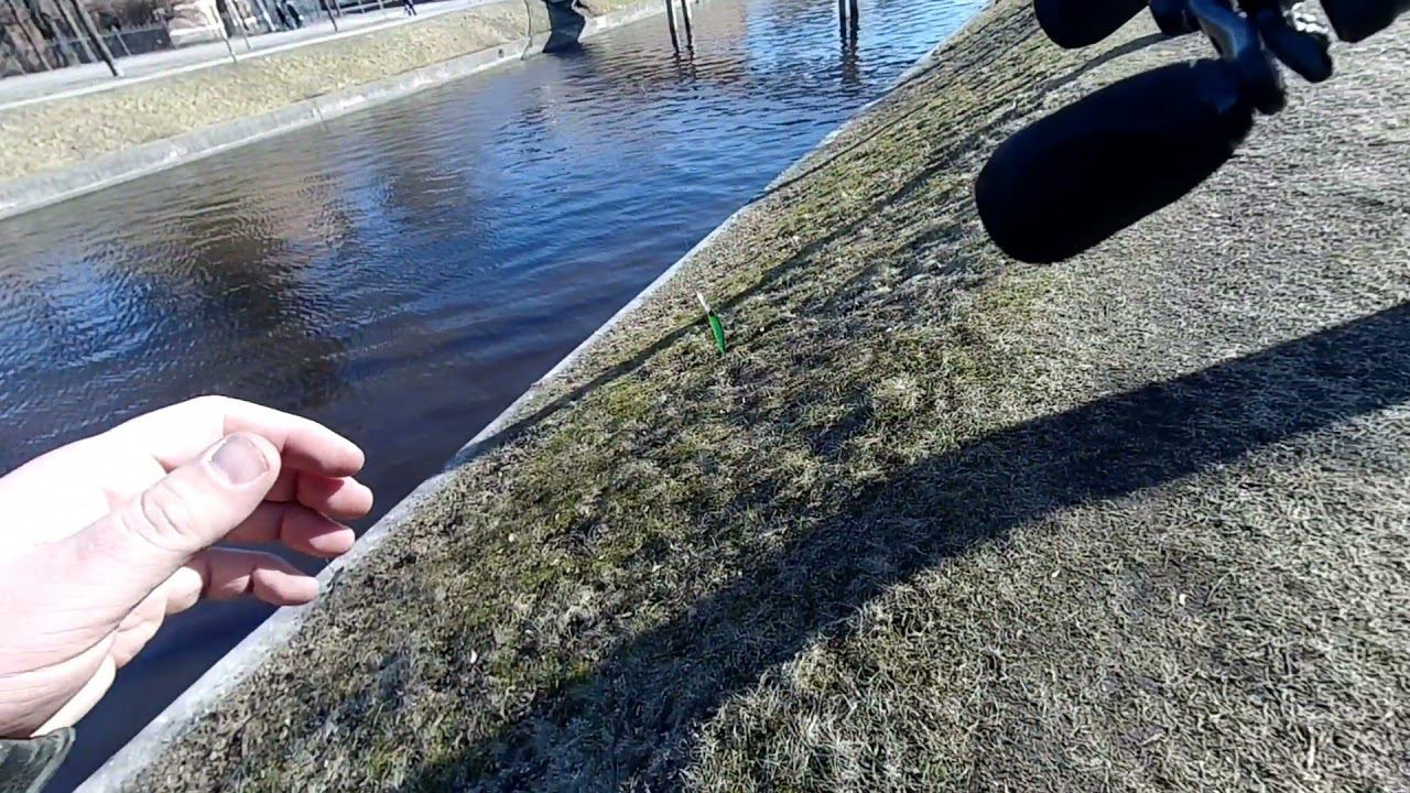 Abu Garcia REVO X тест на воде