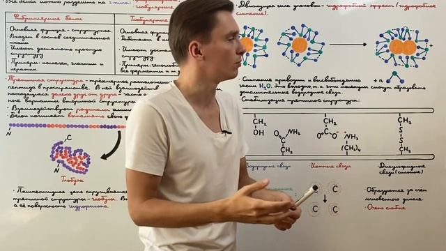 Третичная структура белка смотреть онлайн