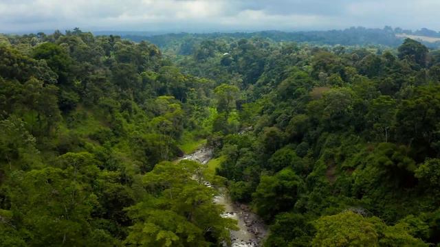 Тибетская целебная флейта •Устранение стресса и успокоение •Устранение негативной энергии, исцелени смотреть онлайн