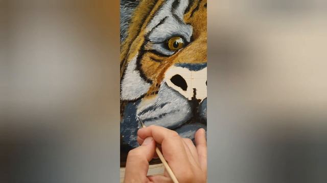 Как нарисовать тигра, амурский тигр, часть 1 смотреть онлайн