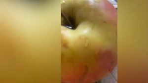 Как сделать конфеты для лошади???