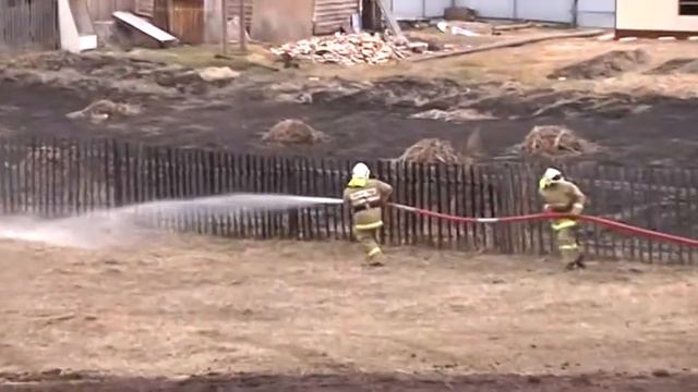 Село Сорокино и прилегающий к нему лесной массив спасали от пожара федеральные и краевые силы МЧС смотреть онлайн