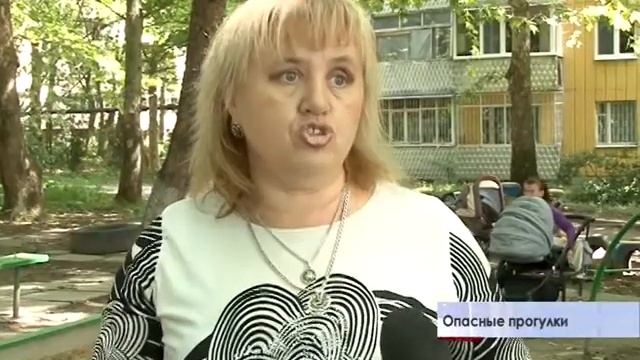 Опасные прогулки на детских площадках крымской столицы смотреть онлайн