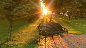 Футаж для видео монтажа Вечер парк скамейка закат лучи солнца лето
