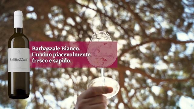 Visita Nella Cantina Cottanera A Castiglione Di Sicilia Nel Territorio Dell’Etna.