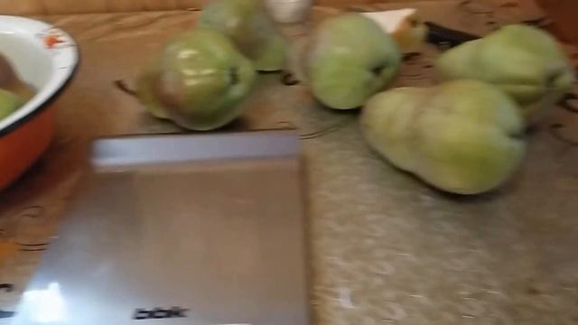 груша Брянская красавица. смотреть онлайн