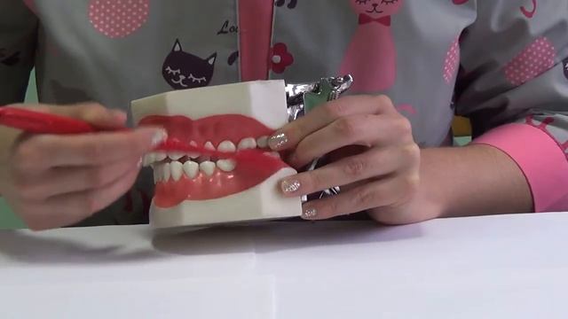 Правильная чистка зубов детей с 7 лет