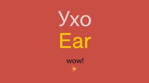 Ухо по-английски