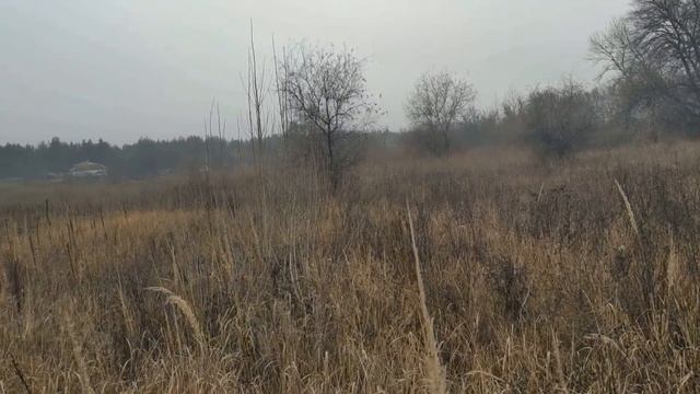 4 декабря праздник Введение во храм Пресвятой Богородицы. Народные приметы и традиции смотреть онлайн