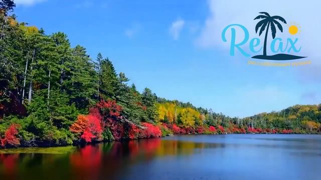 Это Супер сборник!!! Великолепная инструментальная музыка. Инструментальная Музыка для души! смотреть онлайн