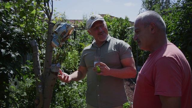 Tony's Grafted Fruit Tree смотреть онлайн
