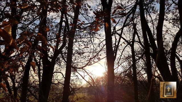 [0237]🙏 Евангелие от Иоанна глава 7 смотреть онлайн