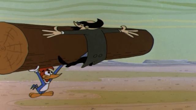 Woody Woodpecker Classic |  Who's Cookin' Who | Woody Woodpecker Full Episode | Videos For Kids
