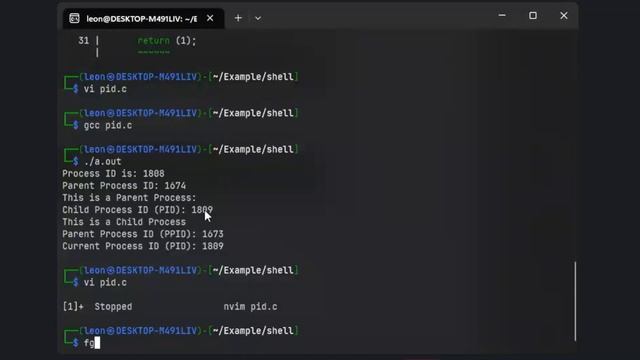 Simple shell - PLD Part one смотреть онлайн