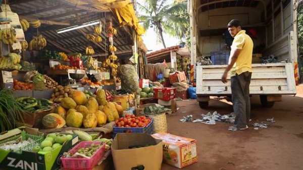 Phrasal Verbs Get In/Get Out vs. Get On/Get Off | English Lesson Plus 7 More Meanings