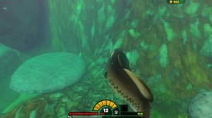 ПРОГЛОТИЛ ОКЕАН - Эволюция рыбы! Рыбий челлендж Feed and grow fish