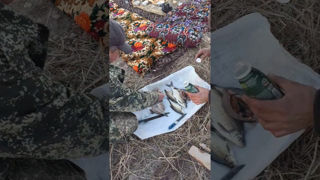 30 декабря 2023 г. смотреть онлайн