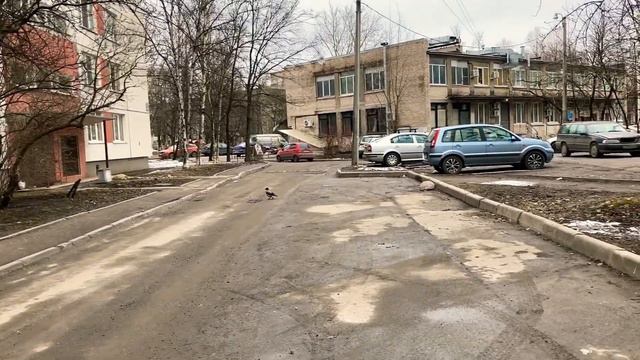 Вот такая прекрасная прогулка всем доброго и прекрасного понедельника 27.03.-1 градус ,ветер