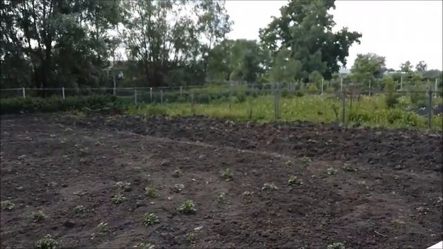 Строить железный забор легко? мне помогает Резинка. ? #Строительство #забора #из #штакетника смотреть онлайн