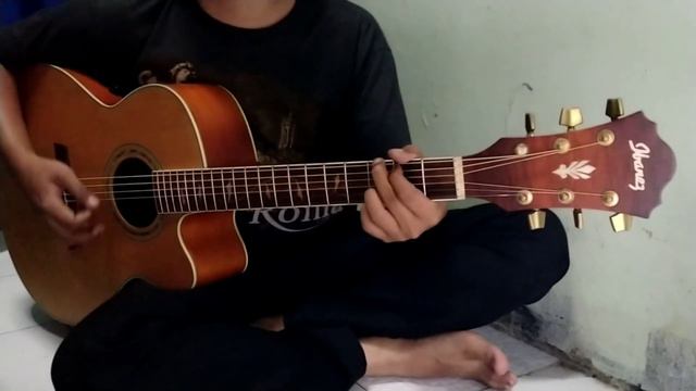 Ibanez AEL40SE-RLV-1202 sound test смотреть онлайн