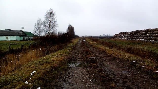 #гармонь#песя скажи председатель смотреть онлайн