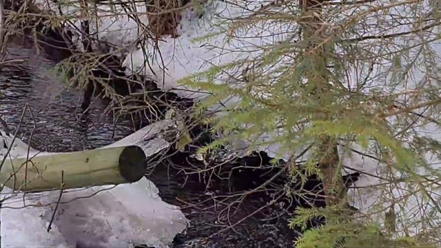 РАССТАВАТЬСЯ ВСЕГДА ТЯЖЕЛО... 1. 03. 2024 смотреть онлайн