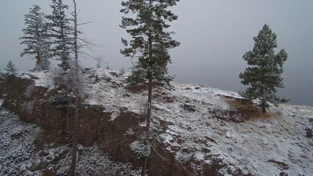 Рыбалка леща зимой, где искать и на что ловить смотреть онлайн