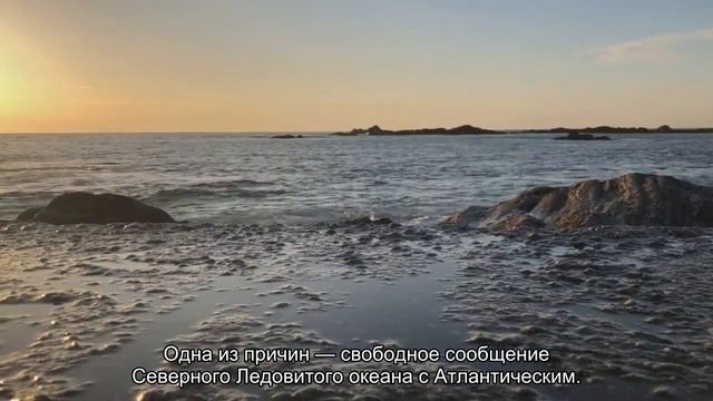 Почему в Арктике всегда теплее, чем в Антарктике смотреть онлайн