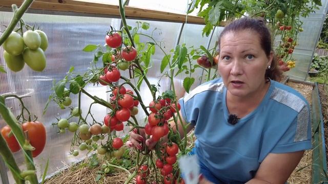 Просто ОБАЛДЕННО вкусные черрики и коктейльные томаты для итальянских салатов и вяления. смотреть онлайн