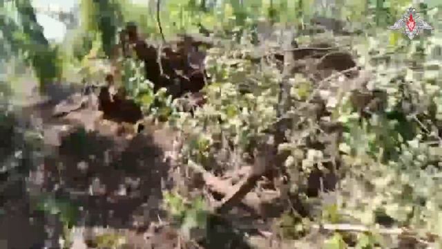 Боевая работа снайперов ЗВО в зоне СВО смотреть онлайн