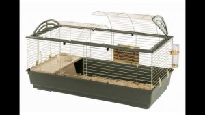 Какую клетку для морской свинки выбрать?
