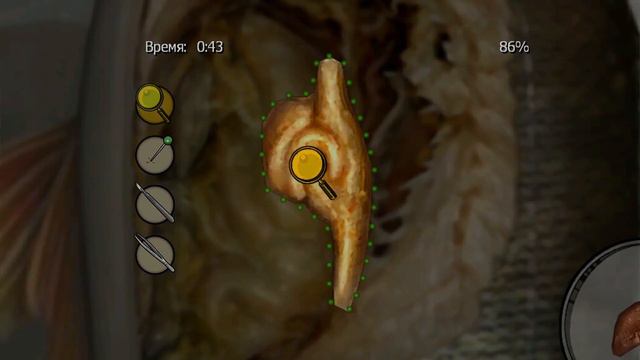 KVEN проходит BULLY #6 смотреть онлайн