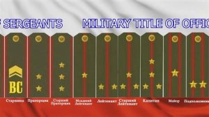 ⬜🟦🟥 Российские воинские звания | #россия #миноборона