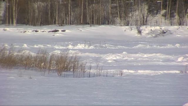 Ушли под лед смотреть онлайн