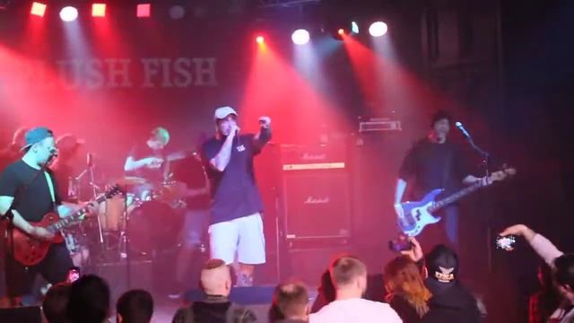 Plush Fish - Работа [live at MOD] 18/03/22 - День рождения PF смотреть онлайн
