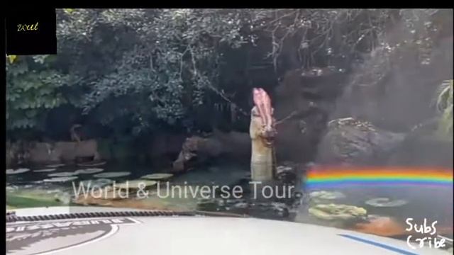 | Dubai Expo 2021 | World & Universe Tour смотреть онлайн