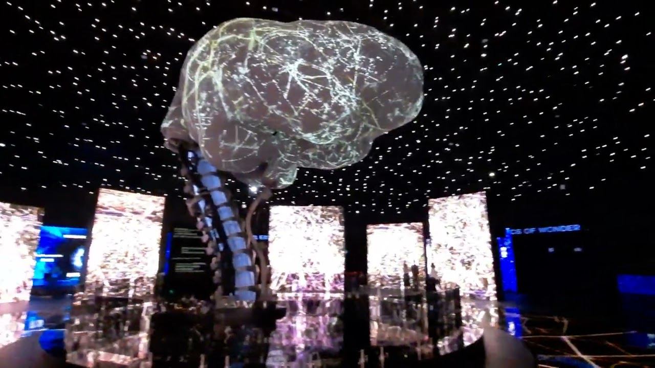 1 февраля 2022 г.(1) смотреть онлайн