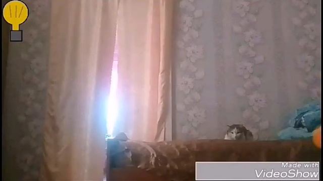 ЁЖИК и FOXY на канале TIGRA GAMES [пять ночей у ёжика] 1 ночь смотреть онлайн