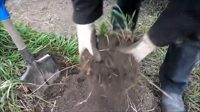 Где на огороде находится самая чистая и питательная земля смотреть онлайн