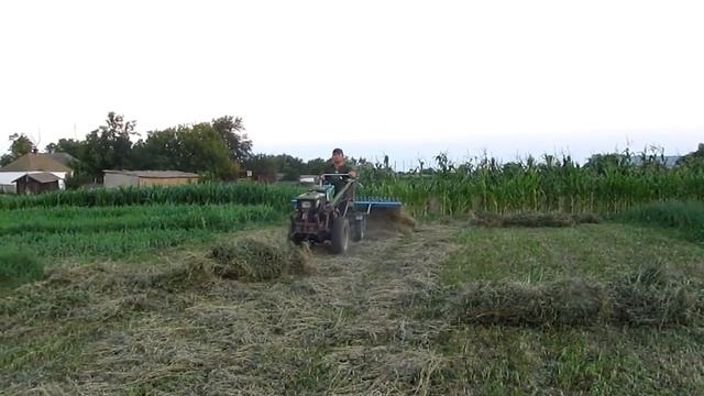 Люцерна или эспарцет - что сеять??? смотреть онлайн