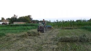 Люцерна или эспарцет - что сеять???