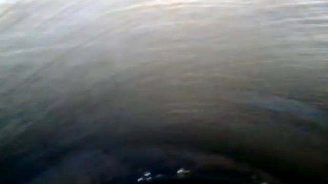 ДВС 1.5 1NZ-FE с навес Toyota (яп к8, №2, OS-213, +мозги+стартер)